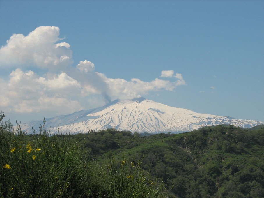 Il torrente dei Discoglossi